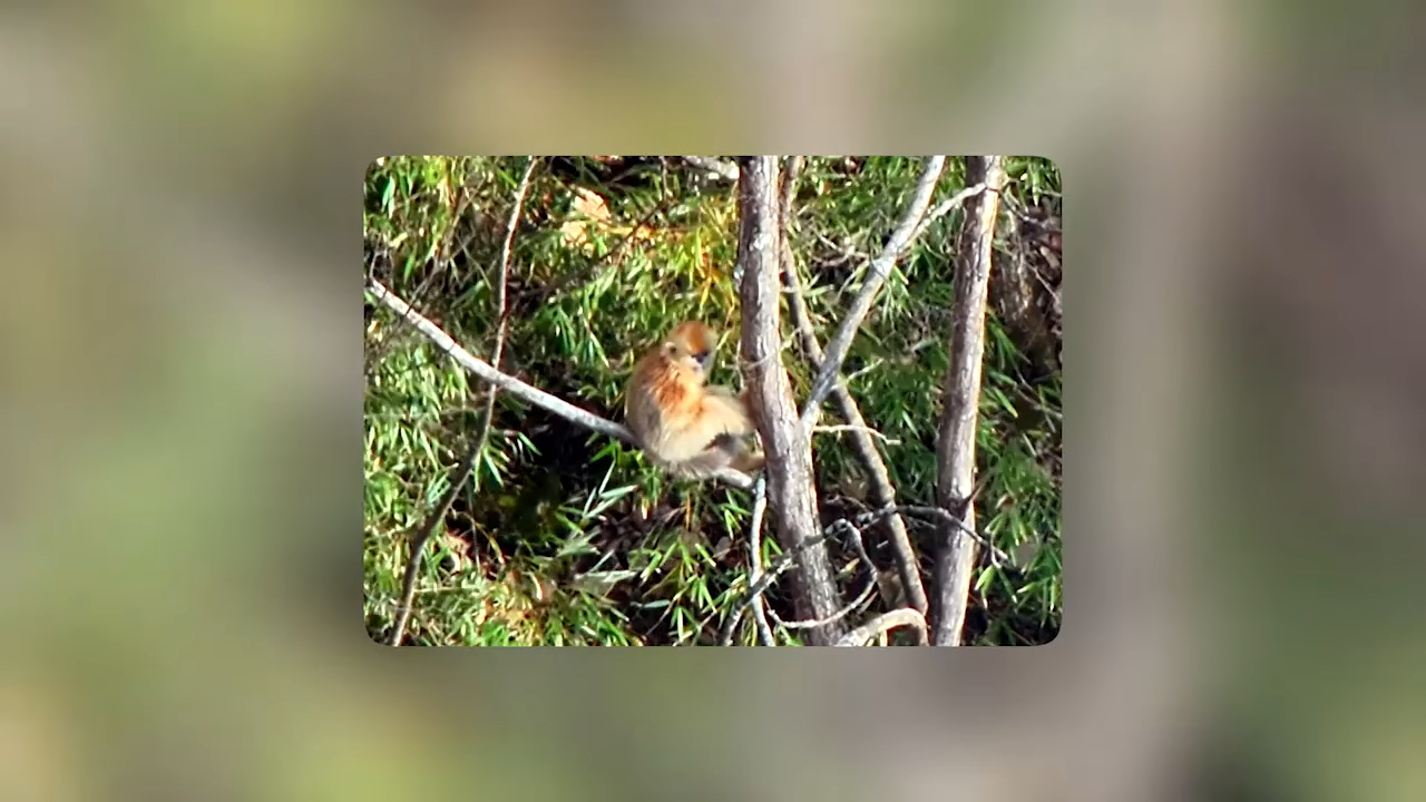 videoframe_8160